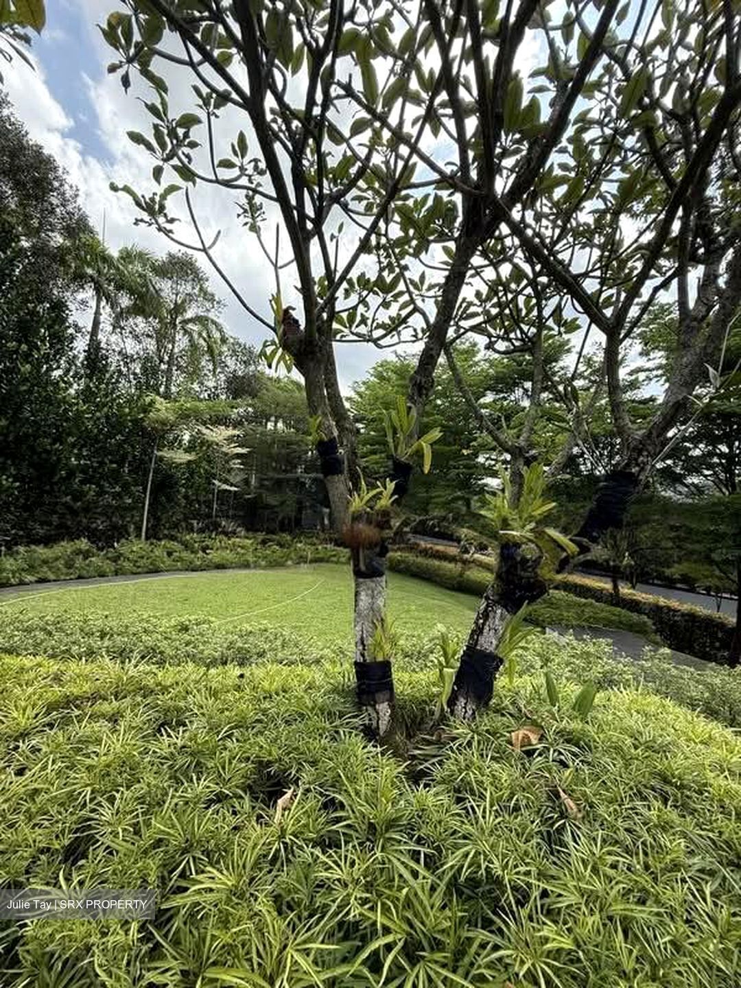 Toa Payoh Rise (D11), Detached #538007921